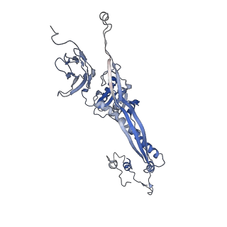 4655_6qvk_5F_v1-0
The cryo-EM structure of bacteriophage phi29 prohead
