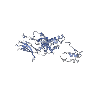 4655_6qvk_5G_v1-0
The cryo-EM structure of bacteriophage phi29 prohead