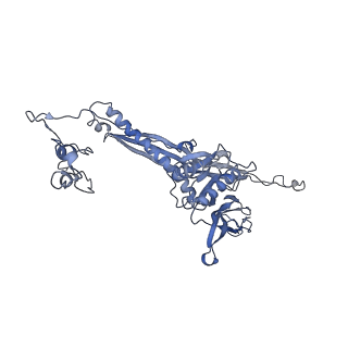 4655_6qvk_5I_v1-0
The cryo-EM structure of bacteriophage phi29 prohead