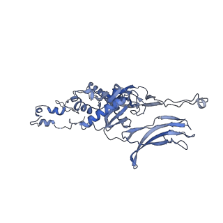 4655_6qvk_5J_v1-0
The cryo-EM structure of bacteriophage phi29 prohead