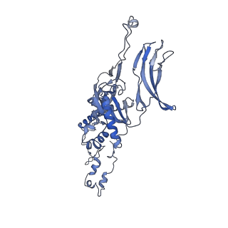 4655_6qvk_5P_v1-0
The cryo-EM structure of bacteriophage phi29 prohead
