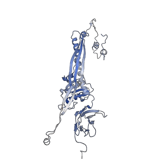 4655_6qvk_5R_v1-0
The cryo-EM structure of bacteriophage phi29 prohead