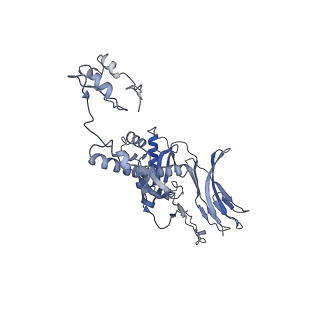 4655_6qvk_5S_v1-0
The cryo-EM structure of bacteriophage phi29 prohead