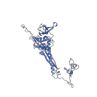 4655_6qvk_5U_v1-0
The cryo-EM structure of bacteriophage phi29 prohead