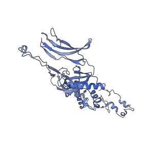 4655_6qvk_5V_v1-0
The cryo-EM structure of bacteriophage phi29 prohead