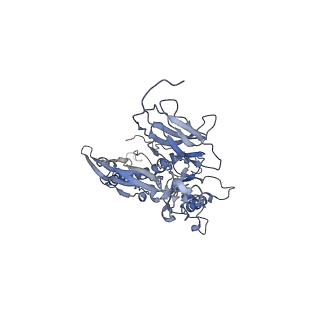 4655_6qvk_5W_v1-0
The cryo-EM structure of bacteriophage phi29 prohead