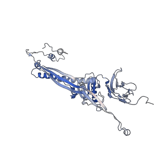 4655_6qvk_5X_v1-0
The cryo-EM structure of bacteriophage phi29 prohead