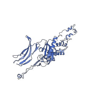 4655_6qvk_5b_v1-0
The cryo-EM structure of bacteriophage phi29 prohead