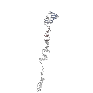 4655_6qvk_5g_v1-0
The cryo-EM structure of bacteriophage phi29 prohead
