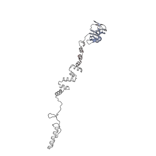 4655_6qvk_5h_v1-0
The cryo-EM structure of bacteriophage phi29 prohead