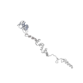 4655_6qvk_5j_v1-0
The cryo-EM structure of bacteriophage phi29 prohead