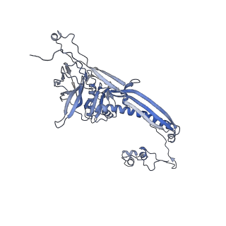 4655_6qvk_6A_v1-0
The cryo-EM structure of bacteriophage phi29 prohead