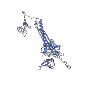 4655_6qvk_6D_v1-0
The cryo-EM structure of bacteriophage phi29 prohead