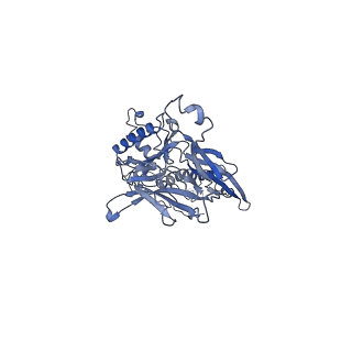 4655_6qvk_6F_v1-0
The cryo-EM structure of bacteriophage phi29 prohead