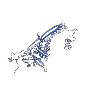 4655_6qvk_6G_v1-0
The cryo-EM structure of bacteriophage phi29 prohead