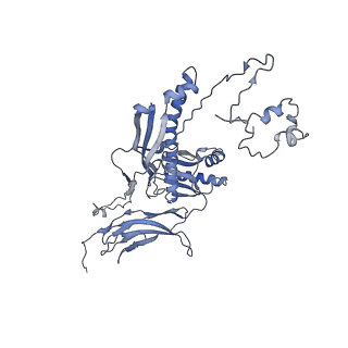 4655_6qvk_6H_v1-0
The cryo-EM structure of bacteriophage phi29 prohead