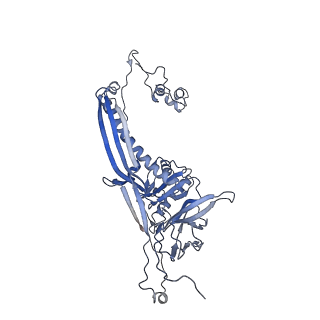 4655_6qvk_6M_v1-0
The cryo-EM structure of bacteriophage phi29 prohead