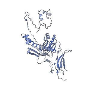 4655_6qvk_6N_v1-0
The cryo-EM structure of bacteriophage phi29 prohead