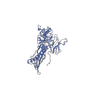 4655_6qvk_6O_v1-0
The cryo-EM structure of bacteriophage phi29 prohead