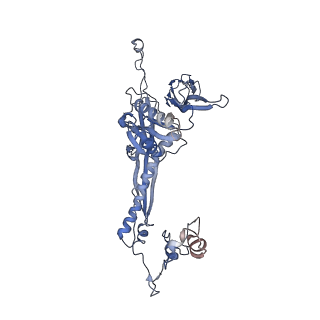 4655_6qvk_6P_v1-0
The cryo-EM structure of bacteriophage phi29 prohead