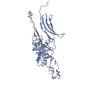 4655_6qvk_6Q_v1-0
The cryo-EM structure of bacteriophage phi29 prohead