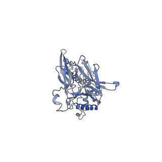 4655_6qvk_6R_v1-0
The cryo-EM structure of bacteriophage phi29 prohead