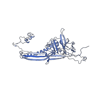 4655_6qvk_6S_v1-0
The cryo-EM structure of bacteriophage phi29 prohead