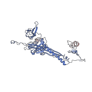 4655_6qvk_6V_v1-0
The cryo-EM structure of bacteriophage phi29 prohead