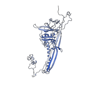 4655_6qvk_6Y_v1-0
The cryo-EM structure of bacteriophage phi29 prohead