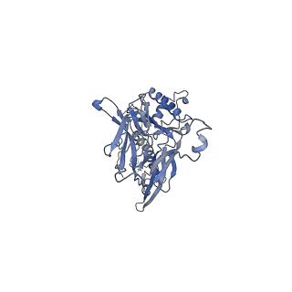 4655_6qvk_6d_v1-0
The cryo-EM structure of bacteriophage phi29 prohead