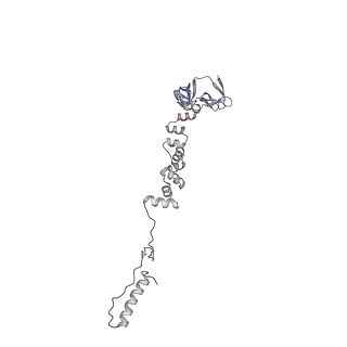 4655_6qvk_6e_v1-0
The cryo-EM structure of bacteriophage phi29 prohead