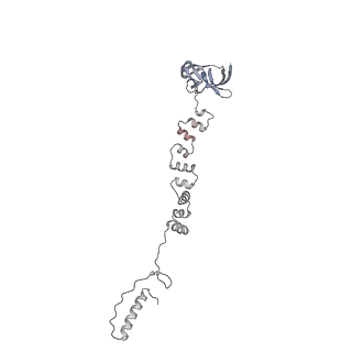 4655_6qvk_6f_v1-0
The cryo-EM structure of bacteriophage phi29 prohead