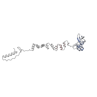 4655_6qvk_6g_v1-0
The cryo-EM structure of bacteriophage phi29 prohead