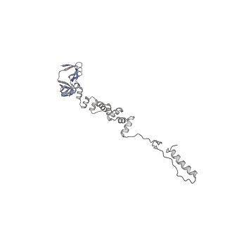 4655_6qvk_6i_v1-0
The cryo-EM structure of bacteriophage phi29 prohead