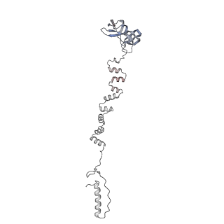 4655_6qvk_6k_v1-0
The cryo-EM structure of bacteriophage phi29 prohead