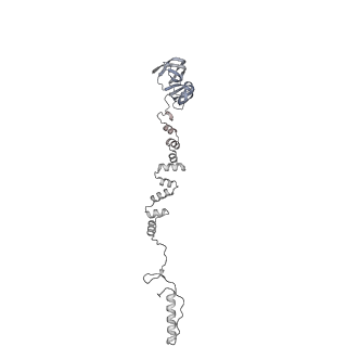 4655_6qvk_6l_v1-0
The cryo-EM structure of bacteriophage phi29 prohead