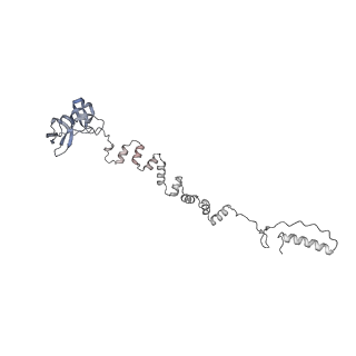 4655_6qvk_6o_v1-0
The cryo-EM structure of bacteriophage phi29 prohead