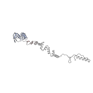 4655_6qvk_6p_v1-0
The cryo-EM structure of bacteriophage phi29 prohead