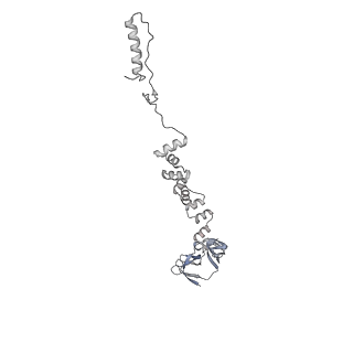 4655_6qvk_6q_v1-0
The cryo-EM structure of bacteriophage phi29 prohead