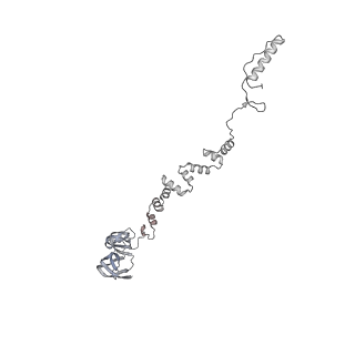 4655_6qvk_6t_v1-0
The cryo-EM structure of bacteriophage phi29 prohead