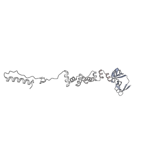 4655_6qvk_6u_v1-0
The cryo-EM structure of bacteriophage phi29 prohead
