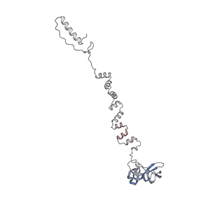 4655_6qvk_6w_v1-0
The cryo-EM structure of bacteriophage phi29 prohead