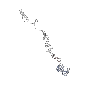 4655_6qvk_6x_v1-0
The cryo-EM structure of bacteriophage phi29 prohead
