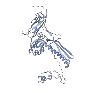 4655_6qvk_7B_v1-0
The cryo-EM structure of bacteriophage phi29 prohead