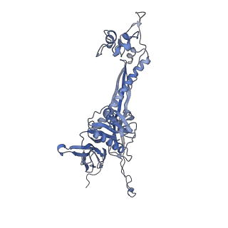 4655_6qvk_7D_v1-0
The cryo-EM structure of bacteriophage phi29 prohead