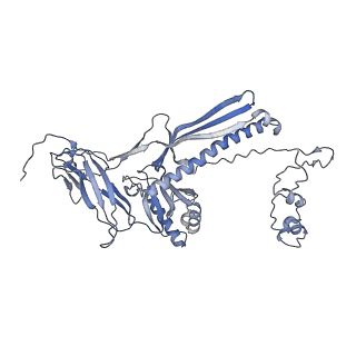 4655_6qvk_7G_v1-0
The cryo-EM structure of bacteriophage phi29 prohead