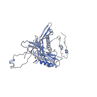 4655_6qvk_7K_v1-0
The cryo-EM structure of bacteriophage phi29 prohead