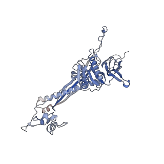4655_6qvk_7N_v1-0
The cryo-EM structure of bacteriophage phi29 prohead