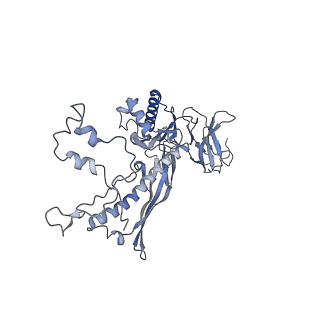 4655_6qvk_7R_v1-0
The cryo-EM structure of bacteriophage phi29 prohead