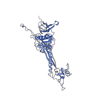 4655_6qvk_7S_v1-0
The cryo-EM structure of bacteriophage phi29 prohead
